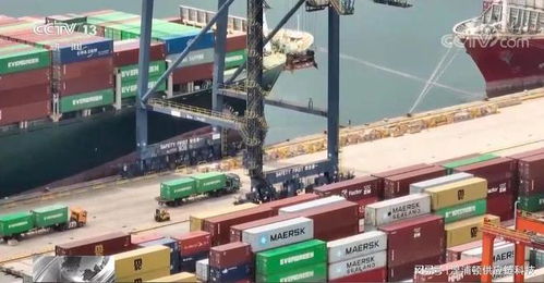 外貿(mào)訂單保衛(wèi)戰(zhàn) 貨代企業(yè)舉步維艱，策劃創(chuàng)意服務(wù)破局