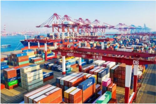 寒潮突襲，大港封航 挑戰中尋創意服務新機遇